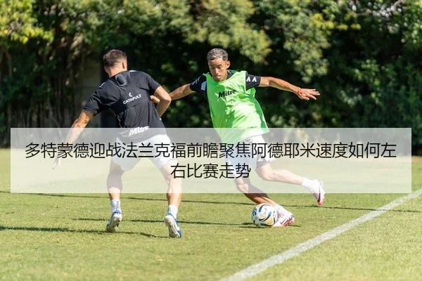 多特蒙德迎战法兰克福前瞻聚焦阿德耶米速度如何左右比赛走势